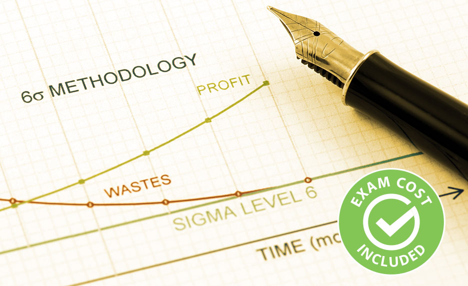 Lean Six Sigma Yellow Belt (Exam Cost Included)